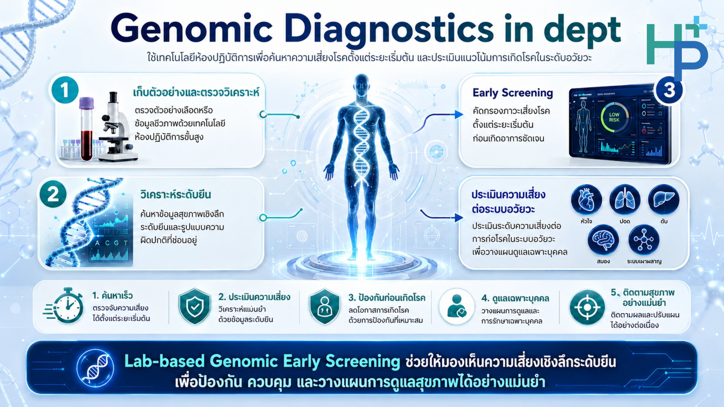 ขั้นตอนการตรวจวิเคราะห์ระดับยีน และการประเมินความเสี่ยงรายระบบอวัยวะ